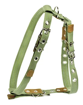 

COLLAR breeching tarpaulin for dogs medium breeds 25mm Collar