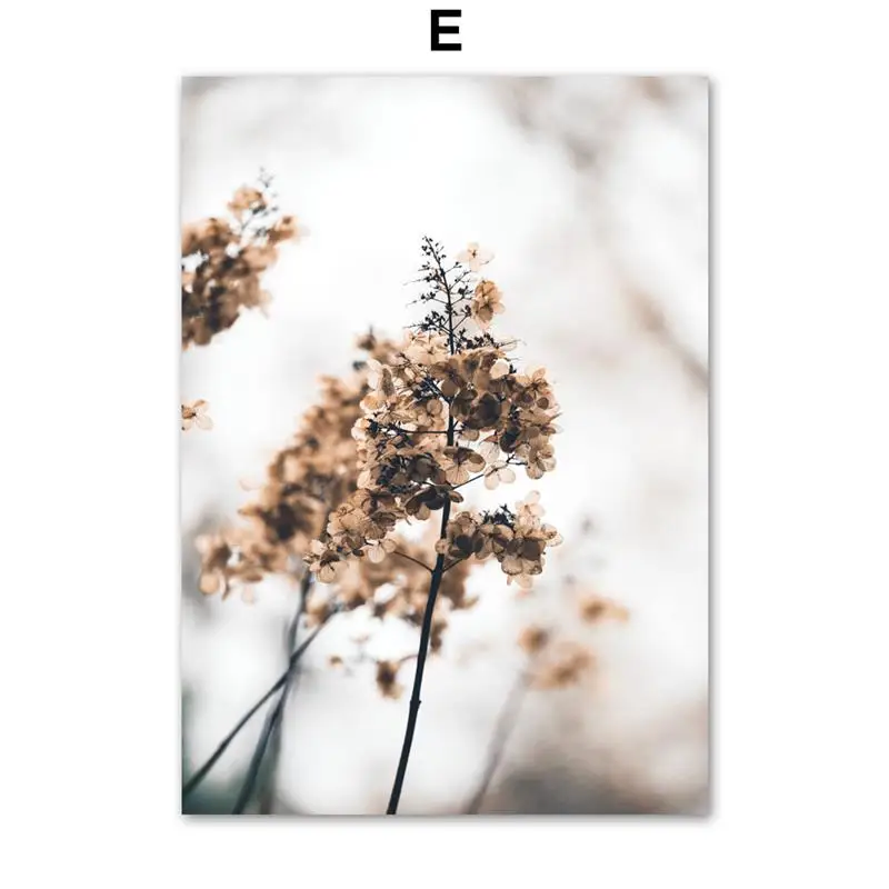 Wall-Art-Canvas-Painting-Beige-Reed-Dried-Flower-Plants-Nordic-Posters-And-Prints-Landscape-Wall-Pictures (7)