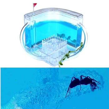 

NEW Sand Ant Farm Nest House diy feeding area White Sand Acryl Insect Villa Funny Pets Educational Toys For School Student Kid