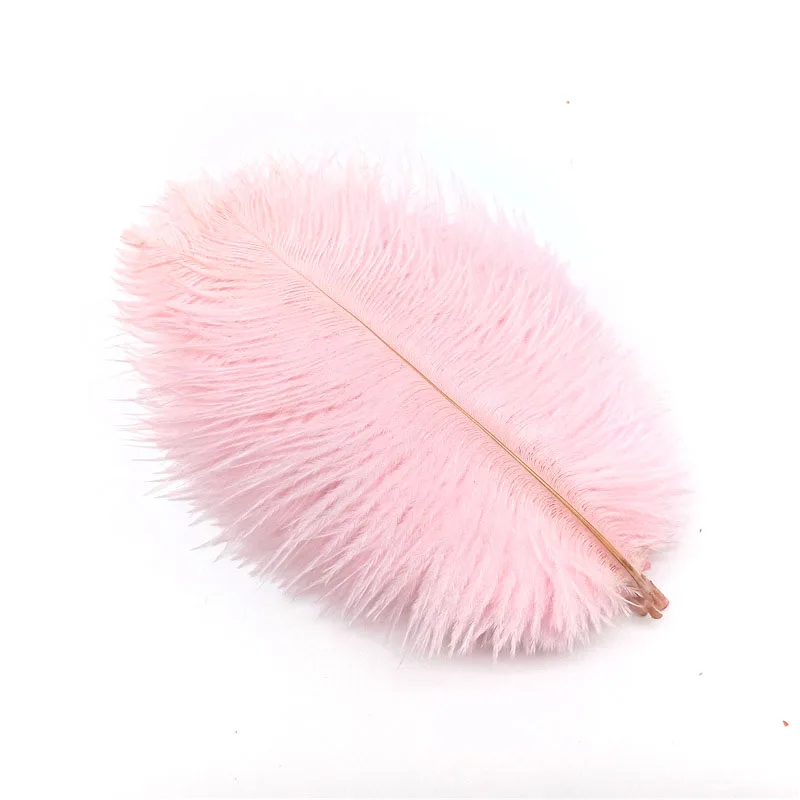 Light Pink feathers