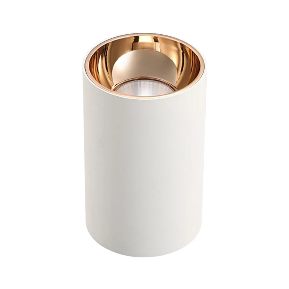 led downlights  (18)