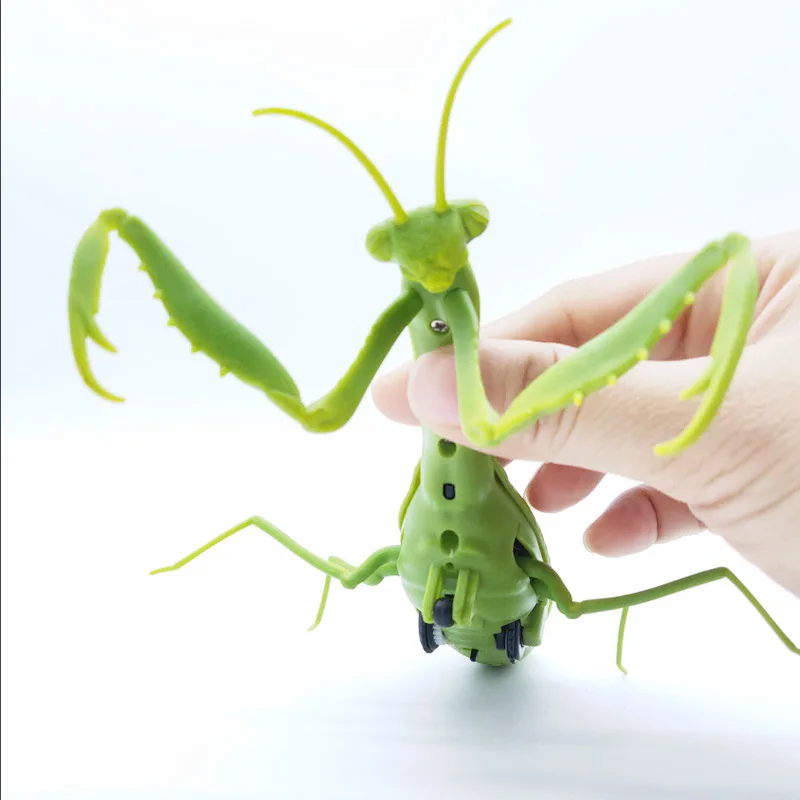 

New Products Strange New Remote Control Animal SMV Mantis Children Model Trick Toys Electric Insect Toy