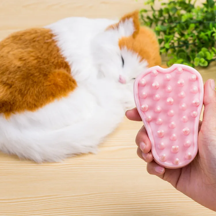 Cat with Two-sided Brush Bath Brush Massage Comb Double-Sided Hair Remover Manufacturers Direct Selling a Large Amount Currently