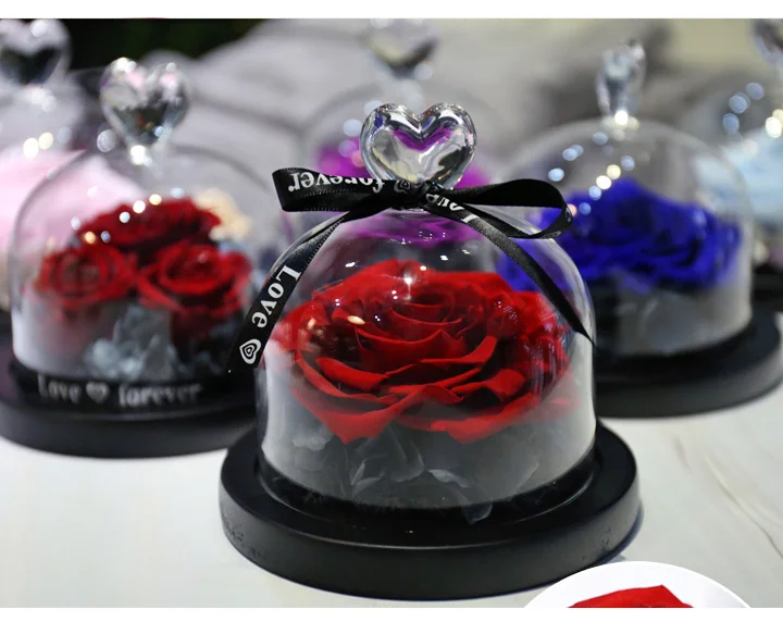 Love Everlasting flower vase Glass cover 02