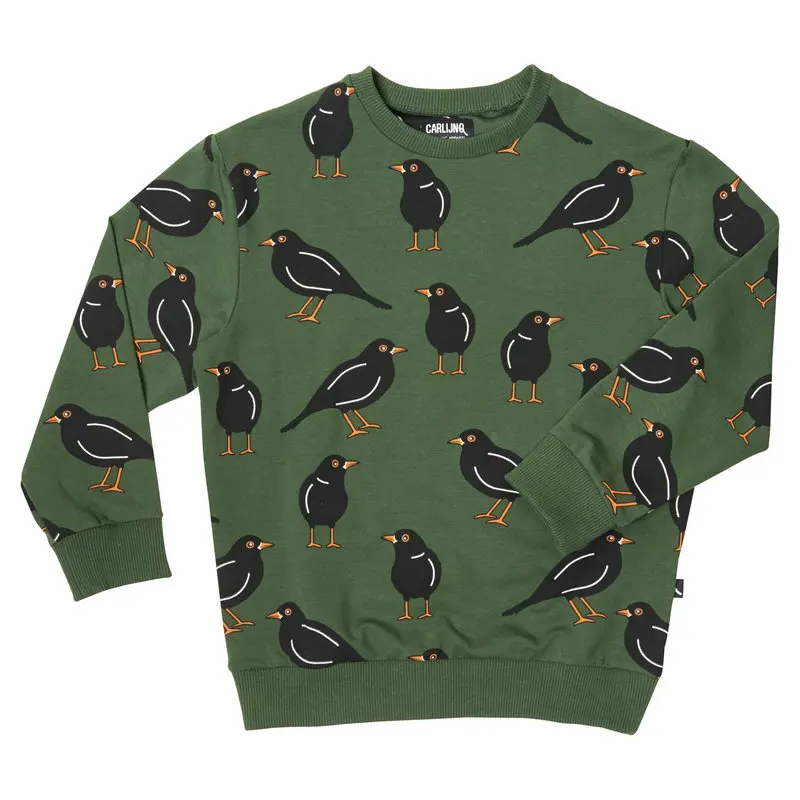 Carlijnq/Детские толстовки с капюшоном толстовка с длинными рукавами и принтом с птицами для маленьких мальчиков и девочек, верхняя одежда с капюшоном хлопковый свитер для детей возрастом от 1 года до 6 лет - Цвет: Зеленый