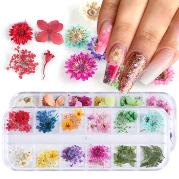 Mix suszonych kwiatów ozdoby do paznokci biżuteria naturalny wzór kwiatowy liść naklejki 3D wzory paznokci polskie akcesoria do manicure TRF01-10