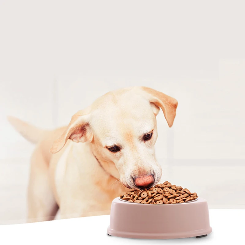 

Stainless Steel Dog Bowl Stand Travel Pet Bowls Feeding Feeder Water BowlsStainless Cat Bowls Puppy Anti-skid Food Water Bowl