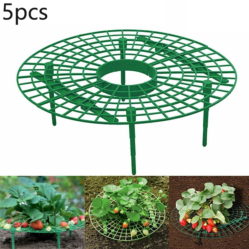 5 шт. съемная подставка для фруктов и растений|Каркасы поддержки растений| |