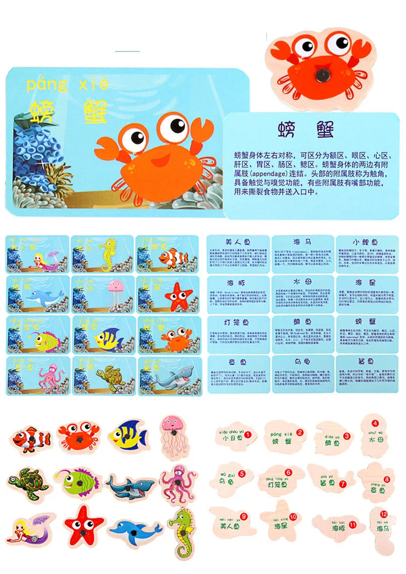 12357819514_1912706311