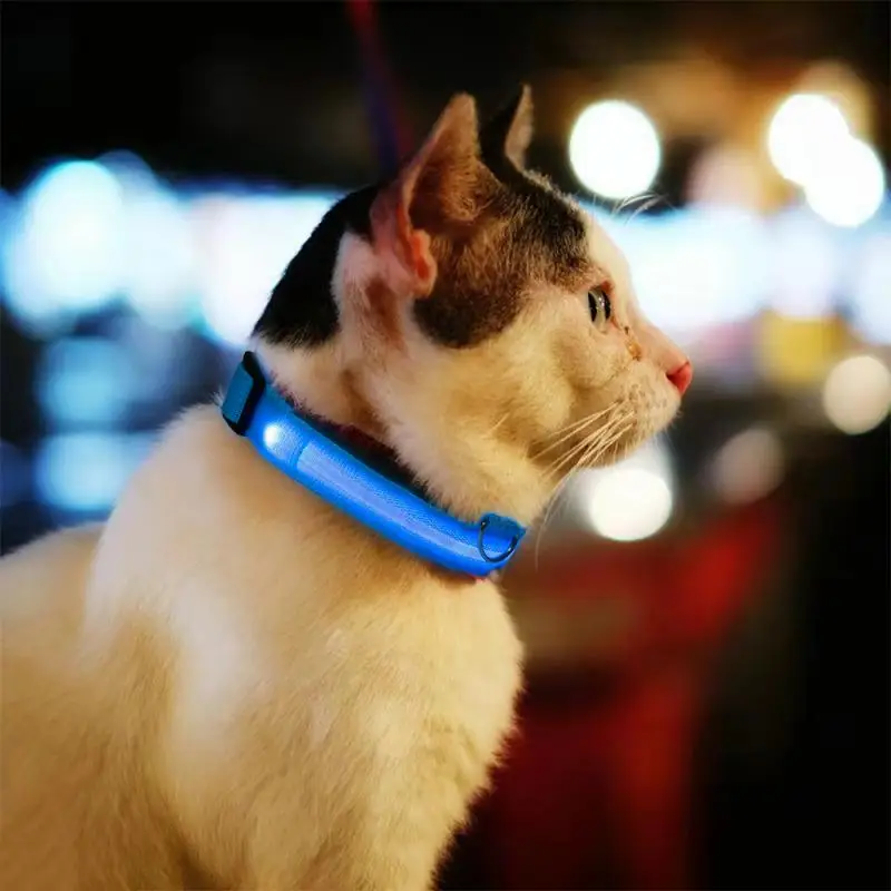 LED Pet Dog Cat Collar Luminous Safety Glow Necklace Flashing Lighting Up Collars For Puppy Cat Pet Supplies Cat Collars