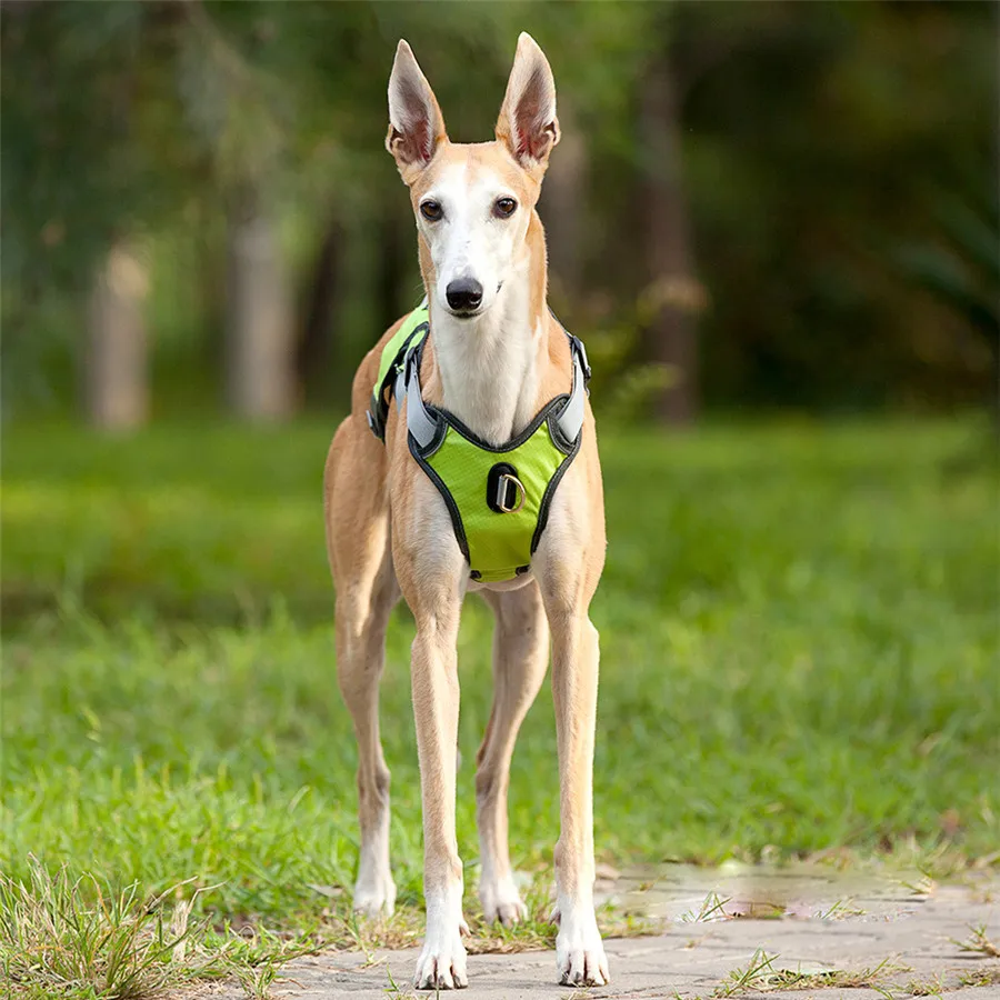 Top Quality Pet Dog Harness Reflective Collar Harnesses For Dogs Pets Service Dog German Shepherd Pit Bull Pet Products New