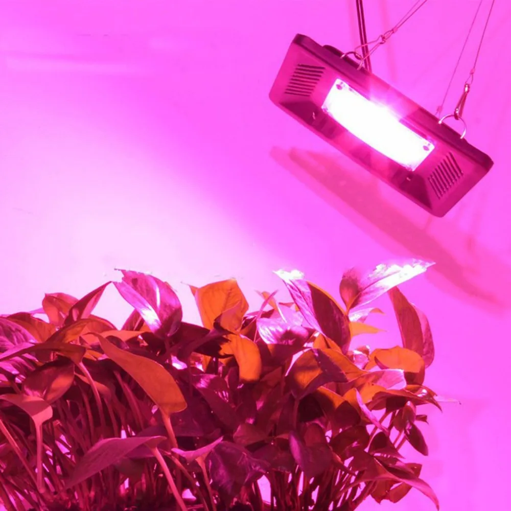 Светодиодная лампа для выращивания растений полный спектр 50 Вт 100 Вт гидропонная растительная теплица лампа для садовой теплицы