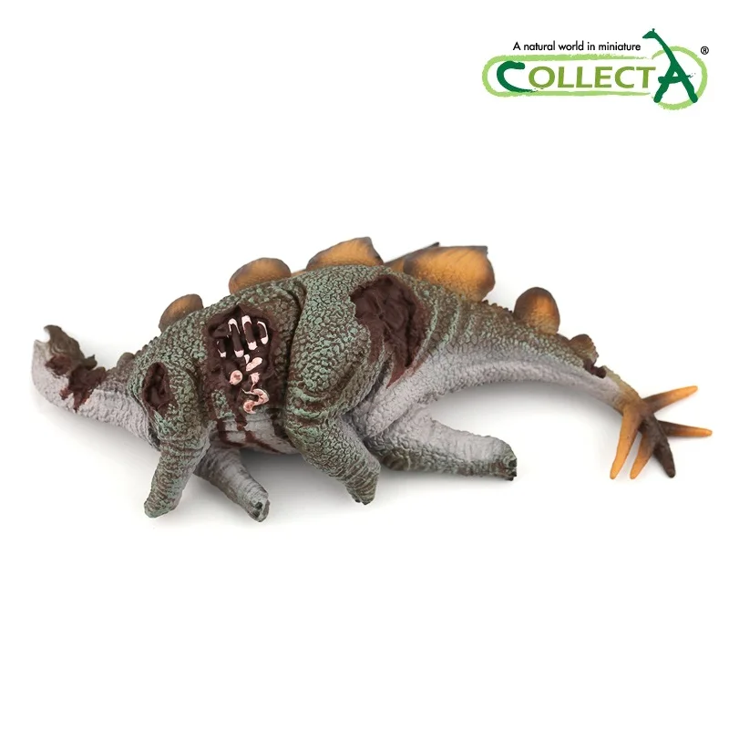Игрушка труп Стегозавра CollectA Классические игрушки для мальчиков Детская модель