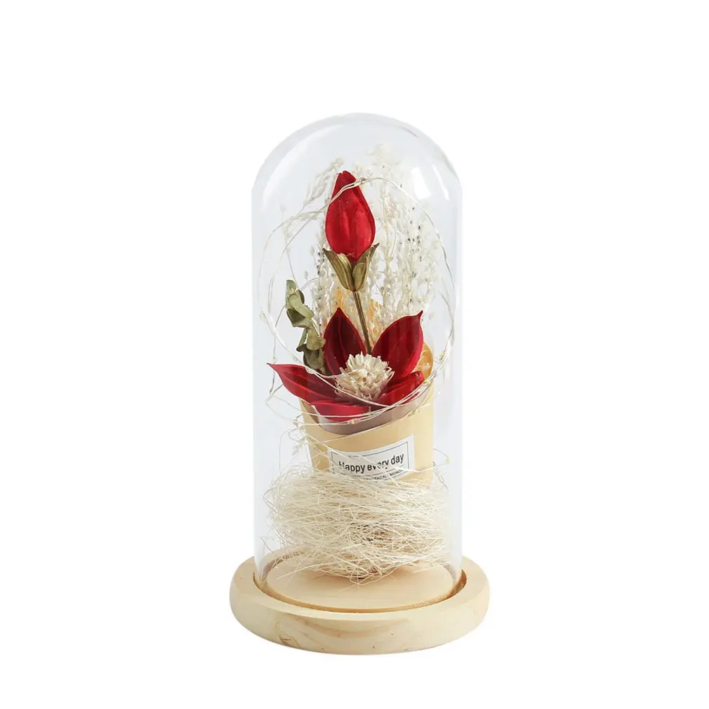 

LED String Night Glass cover with lamp bionic dry flower micro landscape decoration Rose Bottles