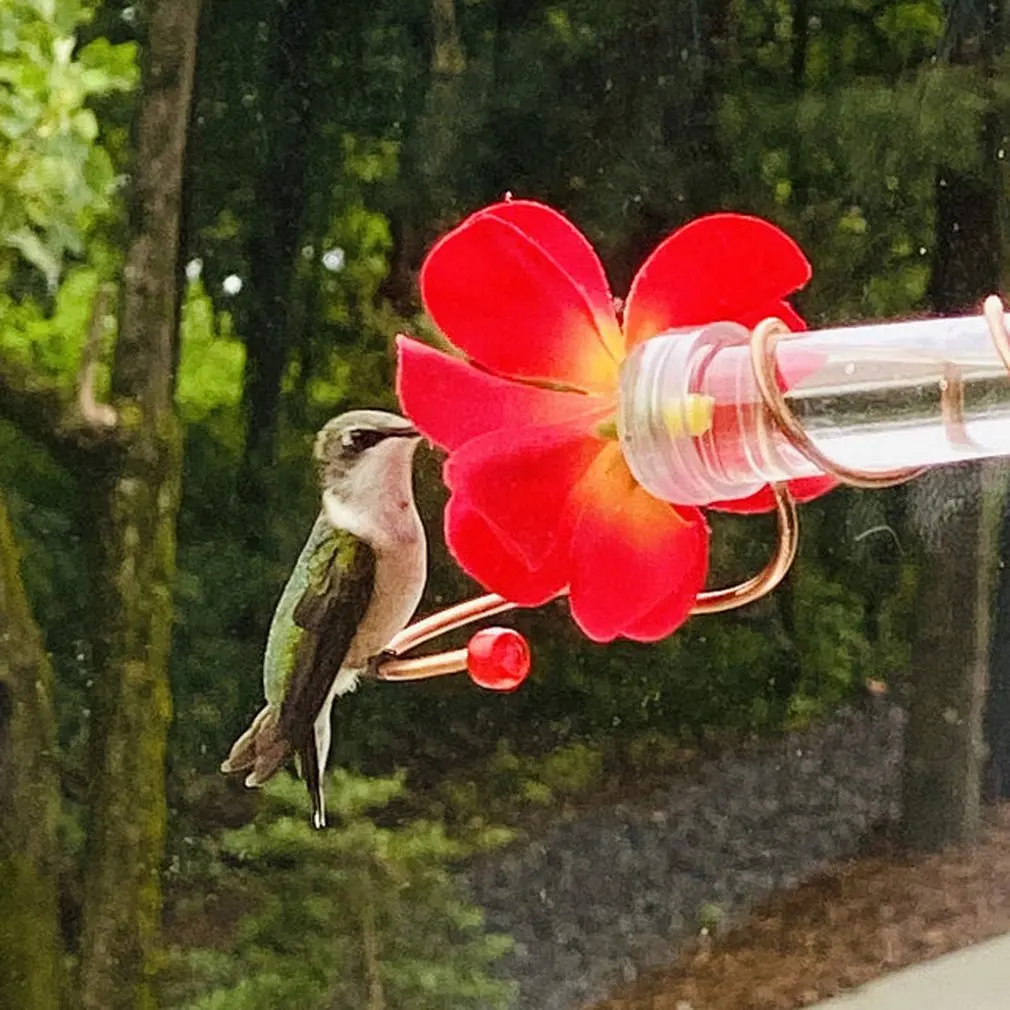 Hand Held Flower Hummingbird Feeder Long Tube Suitable For Outdoor Deck Courtyard Garden Feeder