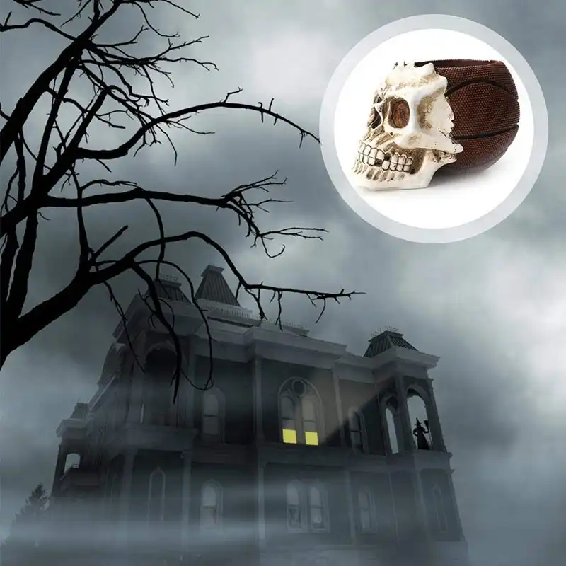 holder, basketball/cranium skeleton makeup brush organizer candy