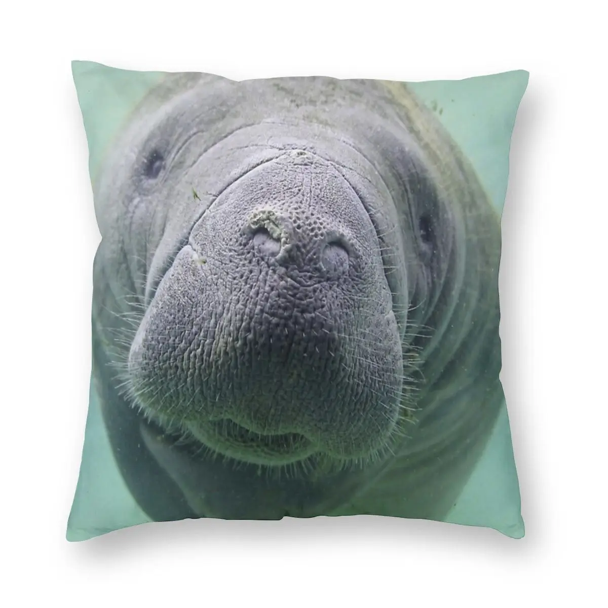 Manatee Подушка Dakimakura чехол наволочка подушка для тела аниме | Дом и сад