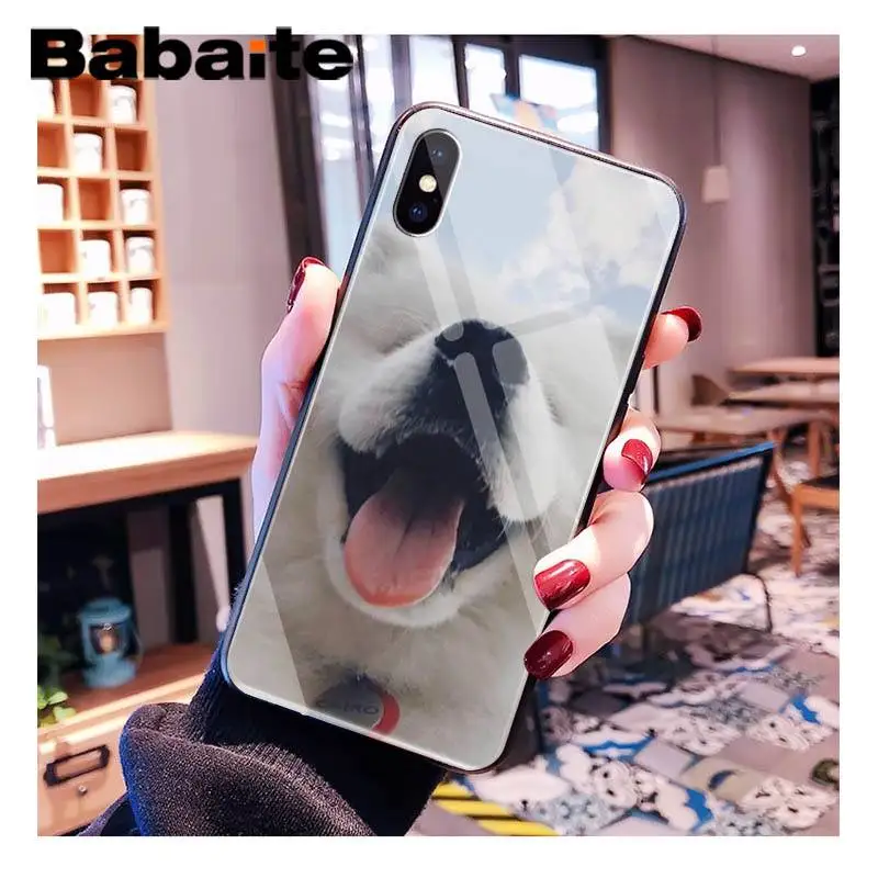 Babaite улыбающийся Ангел животное милая собака клиент высокое стекло чехол для телефона для iPhone XR XS MAX X 7 8 6S Plus 11 11Pro 11Pro max - Цвет: A5