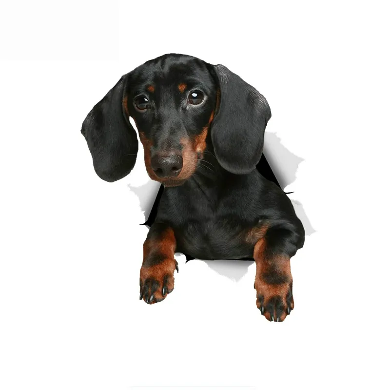 

Dawasaru 3D Black Dachshund Dog Sticker Car Sticker Decal Skateboard Laptop Truck Motorcycles Auto Accessories PVC,15cm*11cm