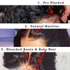 Lace Wigs