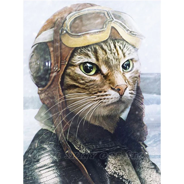 

5D DIY diamond painting Pilot cat 3D Full Drill Diamond Embroidery Cross Stitch Craft Needlework Mosaic Kit Home Decor Gifts