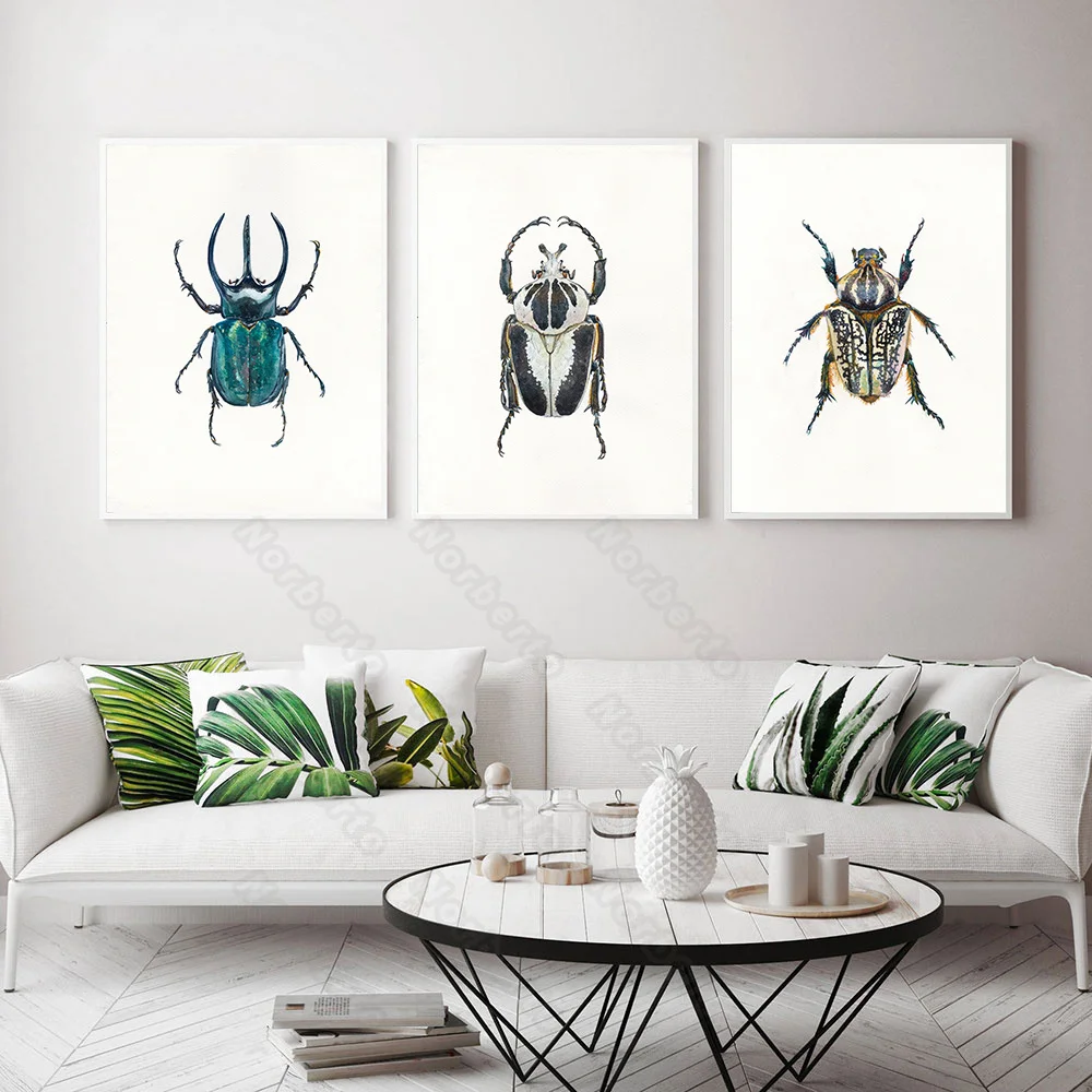 Many Beetles Insects Specimens Modern Realistic Style Canvas Painting Wall Poster Hd Print Home Rooms Bedroom Wall Decoration