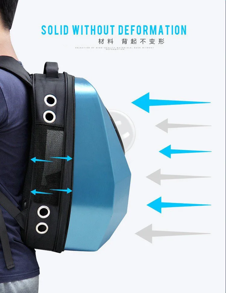 10723509280_345777210