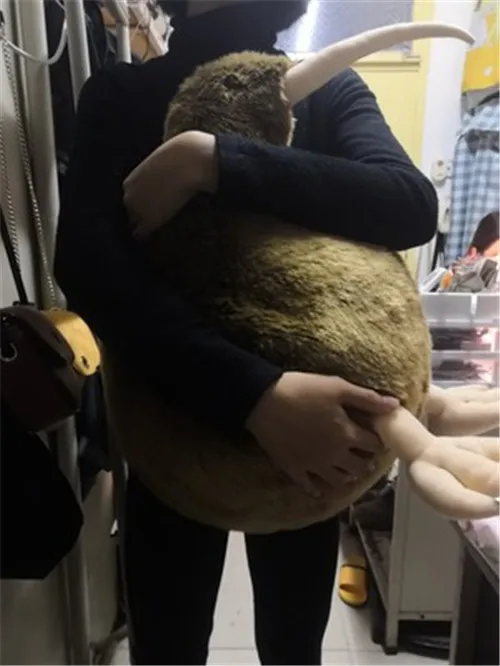 Fancytrader 20'' Rare Big Simulation KIWI Bird Toy Animal Kiwi Bird Plush Toy Lifelike Animals Stuffed Toys Kids Gifts Deco 50cm (8)