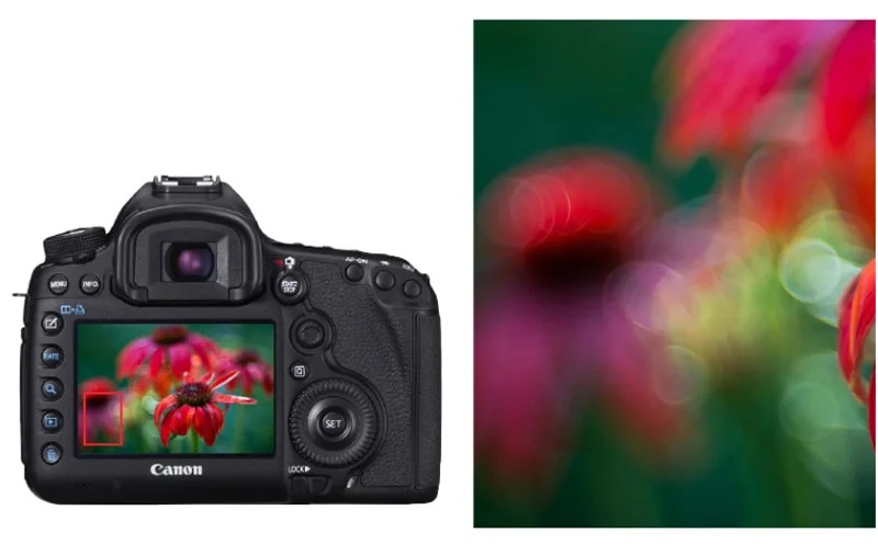 yn-85mm-f1.8 (15)