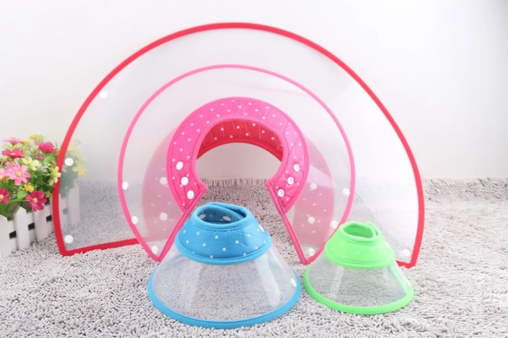 2715182460_1385283841