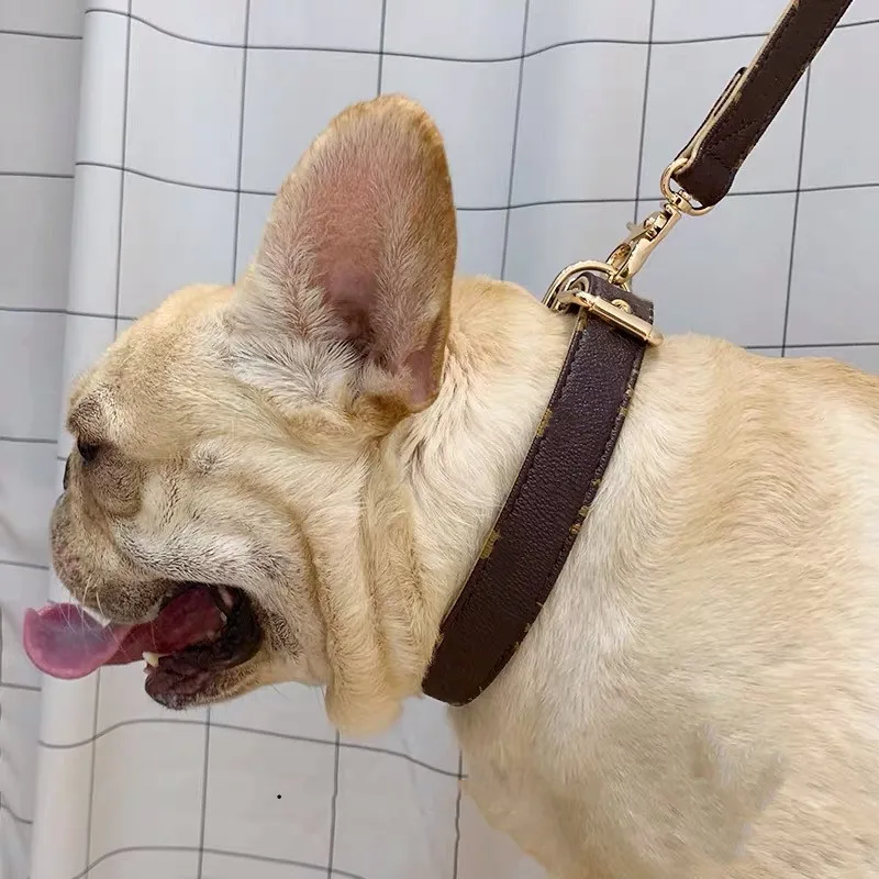 

French Bulldog Leather Collar Leash Set for Small Medium Large Dogs Puppy Outdoor Pet Dog Pug Teddy Leading Accessories MGL01