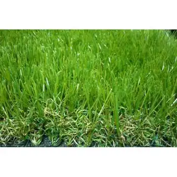 

CESPED 4T 40MM 2X5MT WILD