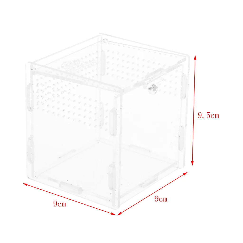 Acrylic Terrarium Feeding Box For Reptiles, Spiders, Turtles,