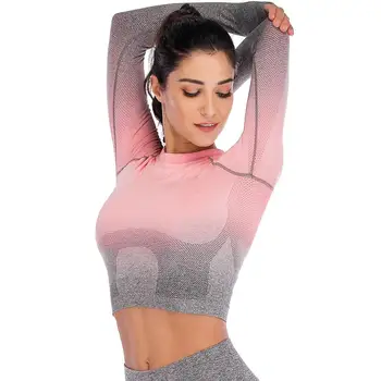 

AlphaGym Women Ombre Cropped Seamless Long Sleeve Top Crop Tops Women Workout Shirts for Women Sports Tops Women Style