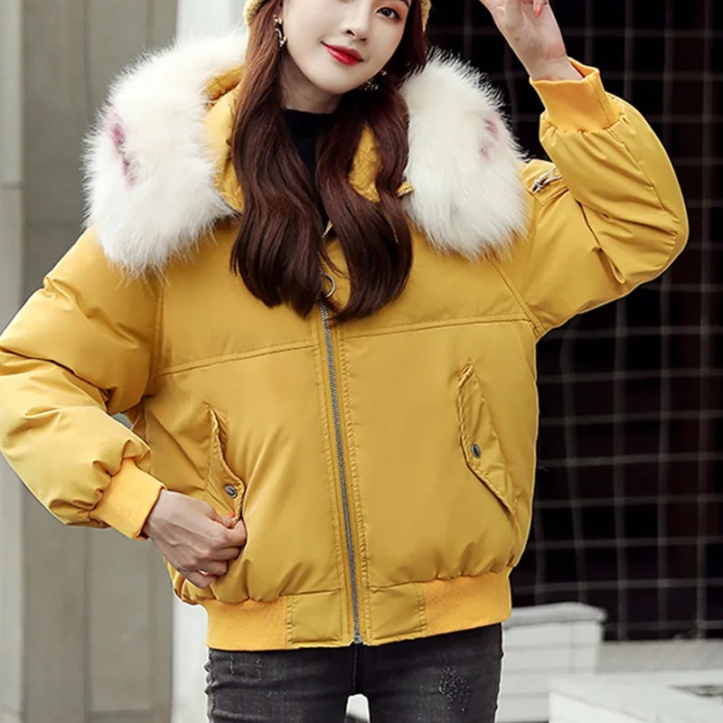 

Large Fur Collar down Jacket Cotton-padded Clothes Women's Short 2019 Winter Korean-style Sweet Students Loose Thick Short-heigh