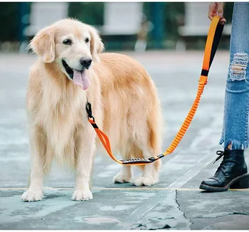

Multifunctional Heavy Duty Bungee Dog Leash Reflective Shock Absorbing Training Leash 2 Traffic Handle Dog Car Seat Belt