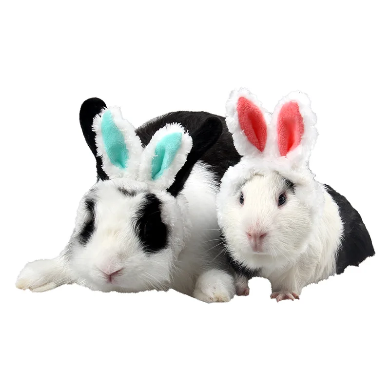 

Ji zekee Small Pet Supplies Wholesale Guinea Pig Hat Totoro Kittens Cap Pet Rabbit Ear Warm Head Band
