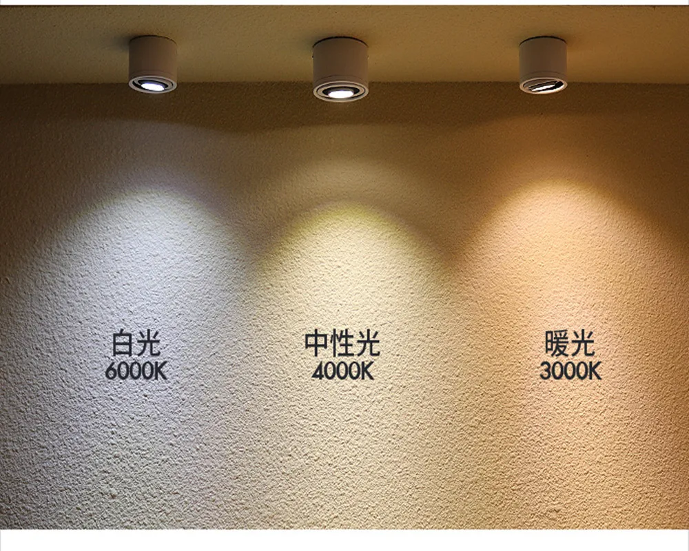 1000 X 1000 COB Downlight D 