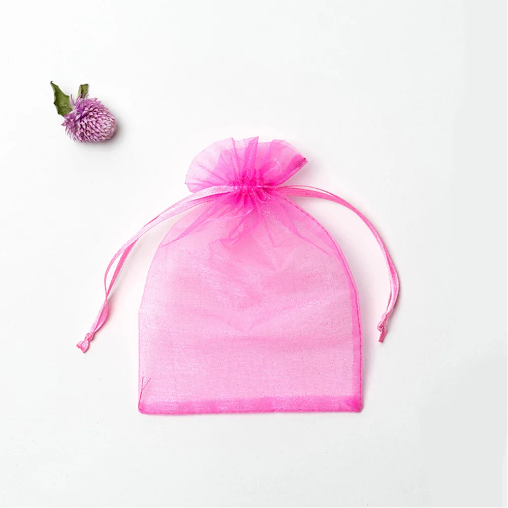 50PCS Garden Vegetables Fruit Grow Plants Protection Bags Anti-Bird Gardening Drawstring Netting Candy Grape Apple Mesh Pouch 