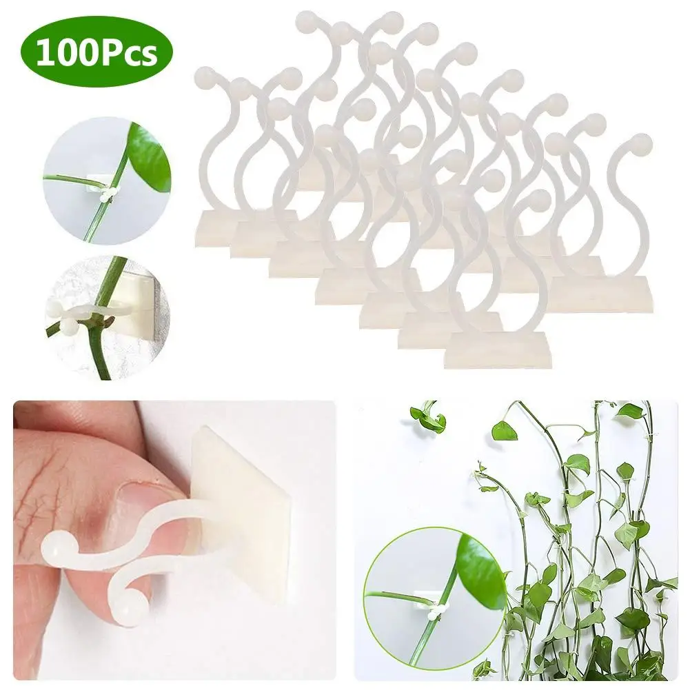 Details about   Bracket Climbing Hook Rattan Clamp Plant Clip Wall Sticky Hook Wall Vines 