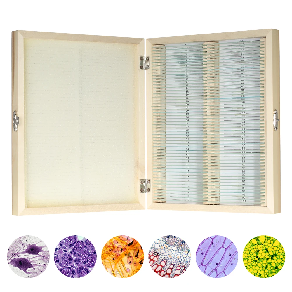 

100pcs/set Microscope Slides Animal Plant Insects Tissues Specimens Slides Set With Wooden Case for Biological Science Education