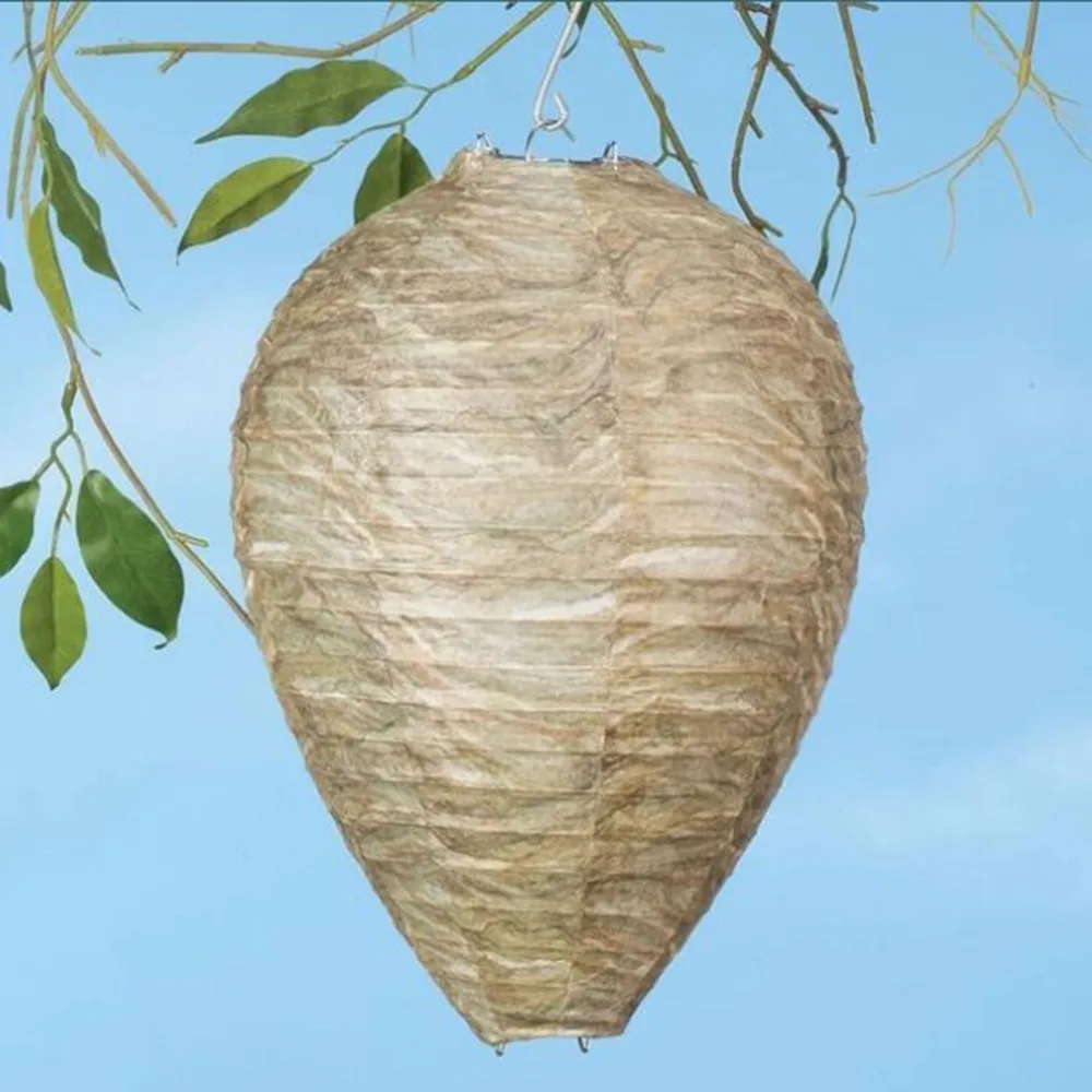 DJ1634400-C-20190828-1