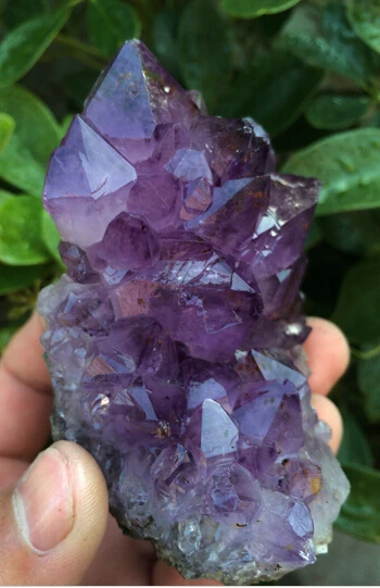 410+++ натуральный аметист красивый фиолетовый Кварц Geode Кристалл кластер Specime