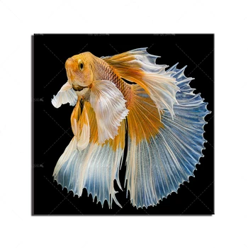 

Modern Nordic Poster Prints Wall Art Colorful White Gold Fish Abstract Wall Art Oil Painting Canvas Home Decor For Living Room