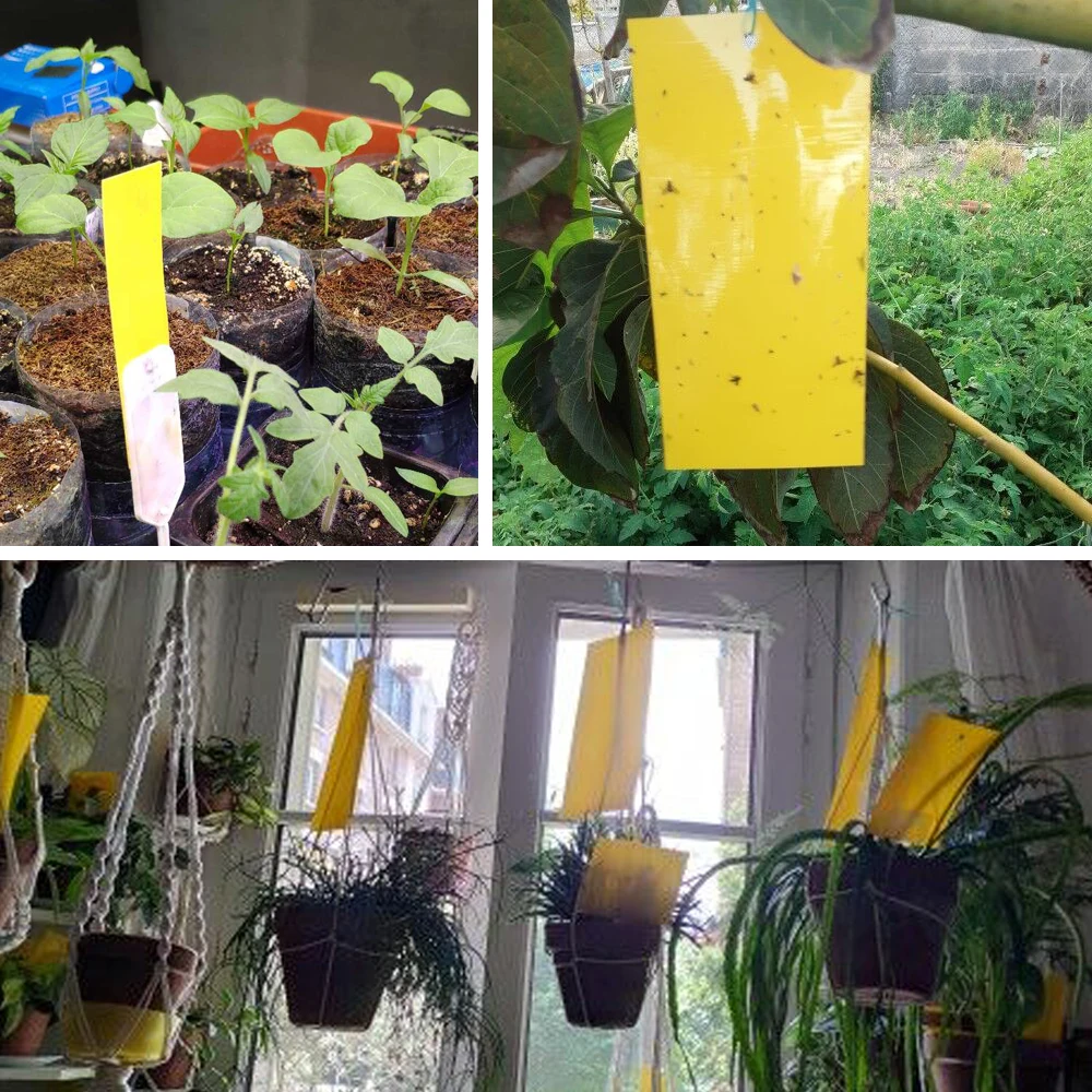Insect catching sticker 30/50 pcs yellow double-sided flying insects glue sticky board trap for greenhouse home garden