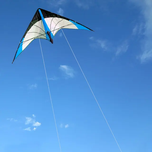 NEW Arrive 48 Inch Blue Professional Dual Line Stunt Kite With Handle And Line Good Flying Factory Outlet 2