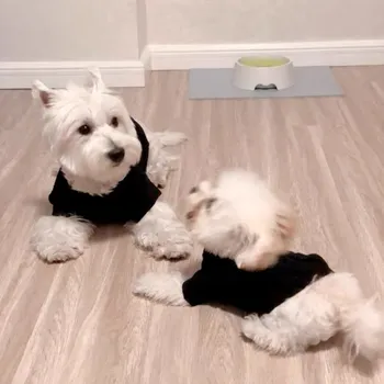 

Fashion Pet Dog Spring Summer Short Sleeve Tshirt Clothes For Small Dogs Schnauzer Yorkie Teddy Pomeranian Corgi Pug GKC19