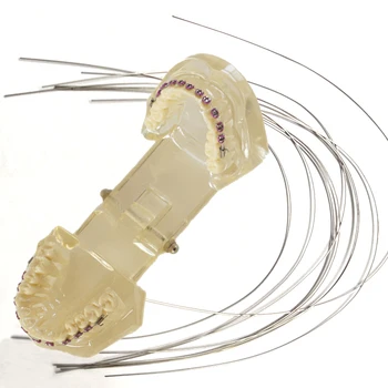 

Dental Niti Materials Files Dentist Super Elastic for Tools Oral Care Brace 12 14 16 18 1616 1622 1725 1729Orthodontic Products