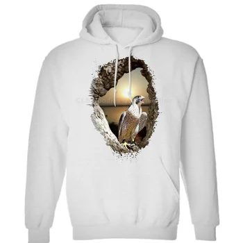 

PEREGRINE FALCON BIRD OF PREY DTG Mens Unisex (Womens) Winter Hoodies Sweatshirts Free Shipping