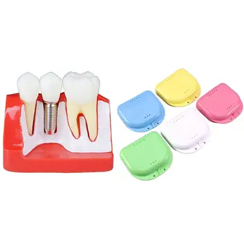 

NEW-Retainer Case 5Pcs Mouth Guard Case with 4 Times Teeth Model Dentist Tools Study Model
